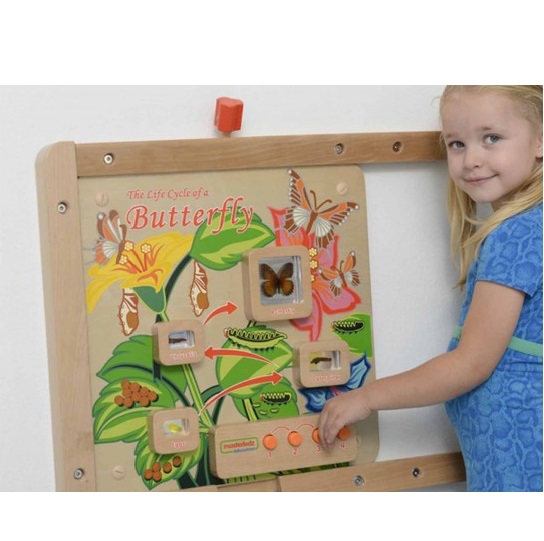 [:VN]Light-Up Butterfly Life Cycle Stages Panel[:]