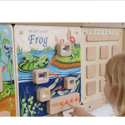 [:VN]Light-Up Frog Life Cycle Stages Panel[:]
