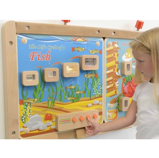 [:VN]Wall Elements - Light-Up Fish Life Cycle Stages Panel[:]