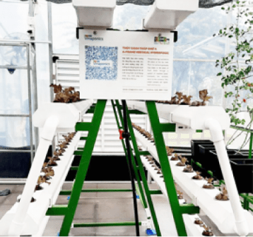 Bộ STEM Lĩnh Vực Hóa, Sinh, Môi Trường và Nông Nghiệp